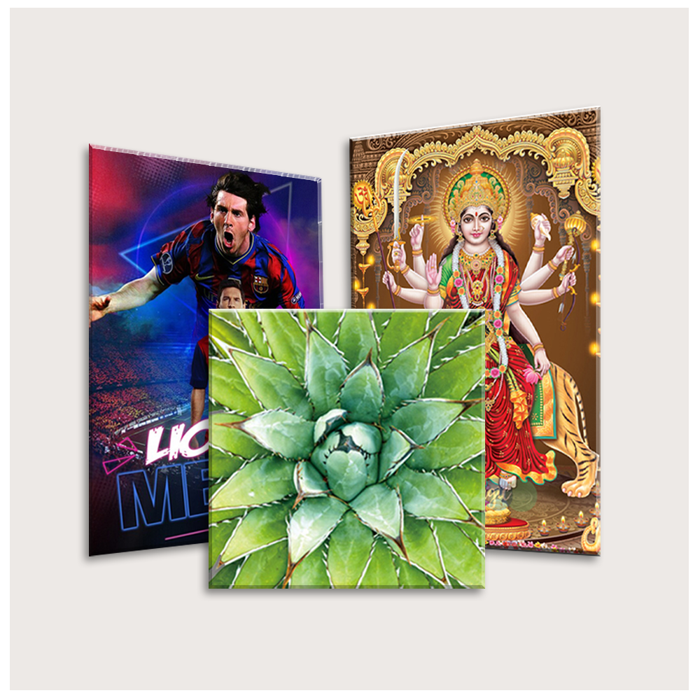 Acrylic Wall Art Modern & Vibrant Designs by PixMagic