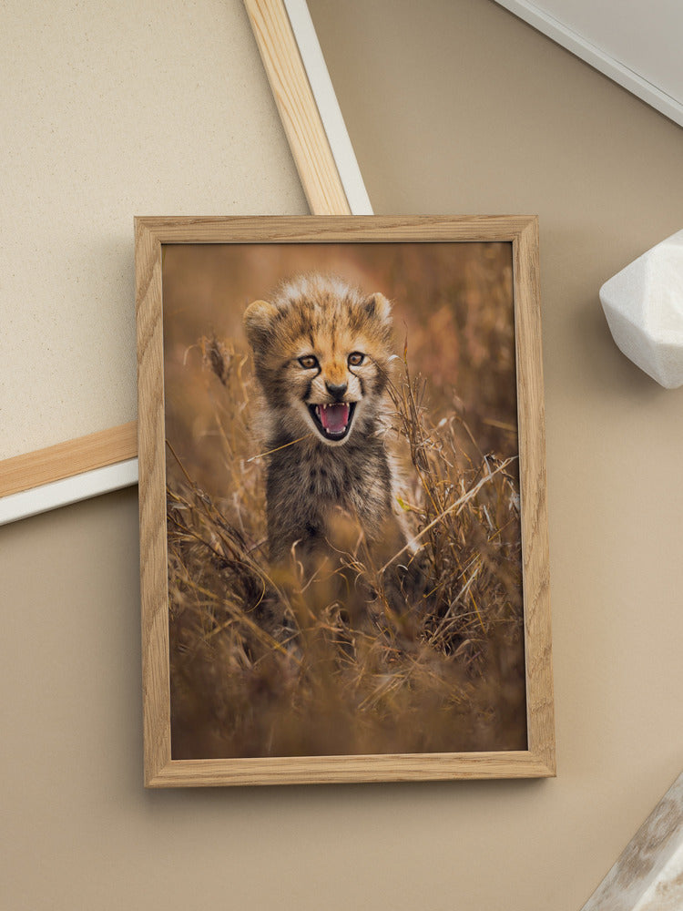 Wild Cub Joy Metal Wall Art
