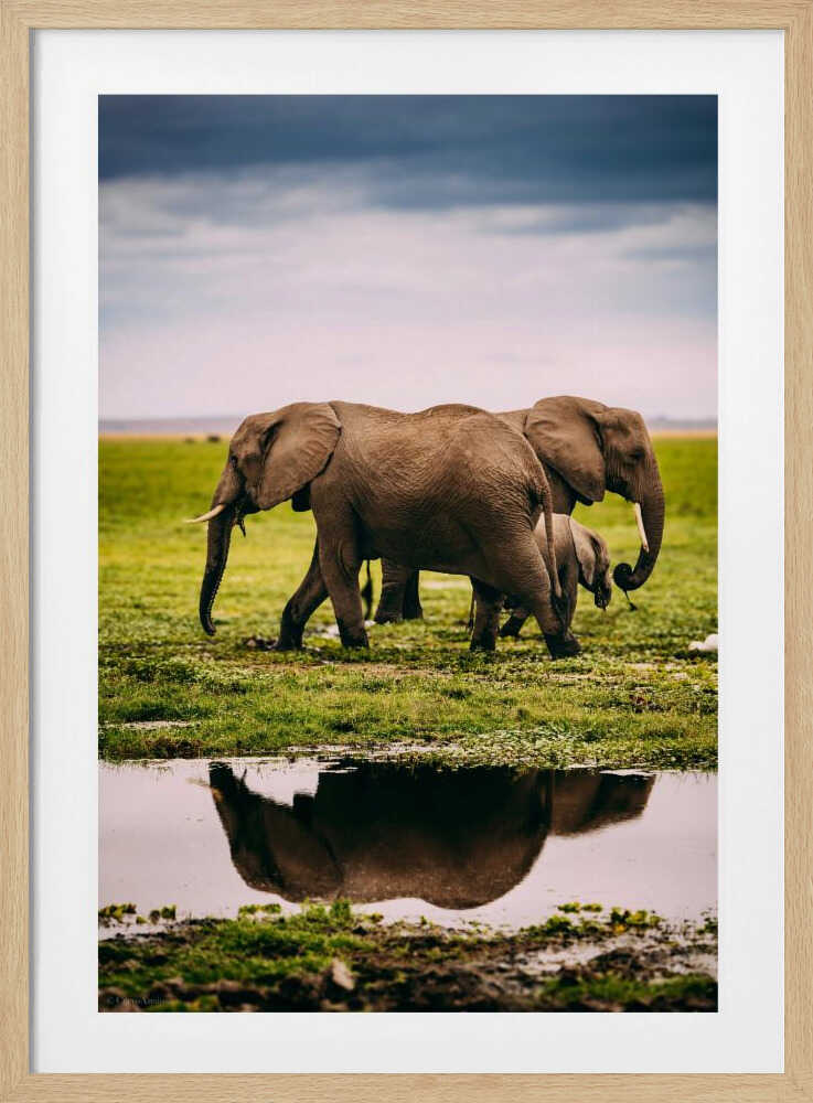 Elephant Family Journey Metal Wall Art