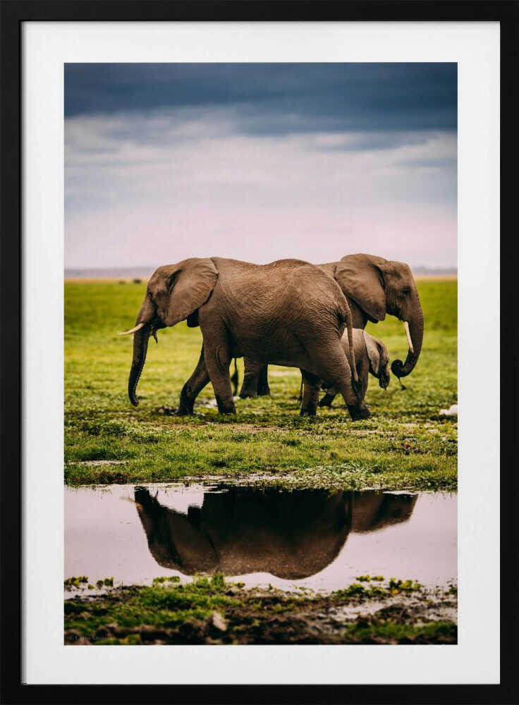 Elephant Family Journey Metal Wall Art