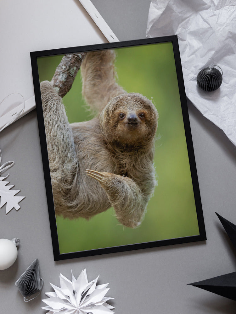 "Gentle Jungle Soul" Metal Wall Art