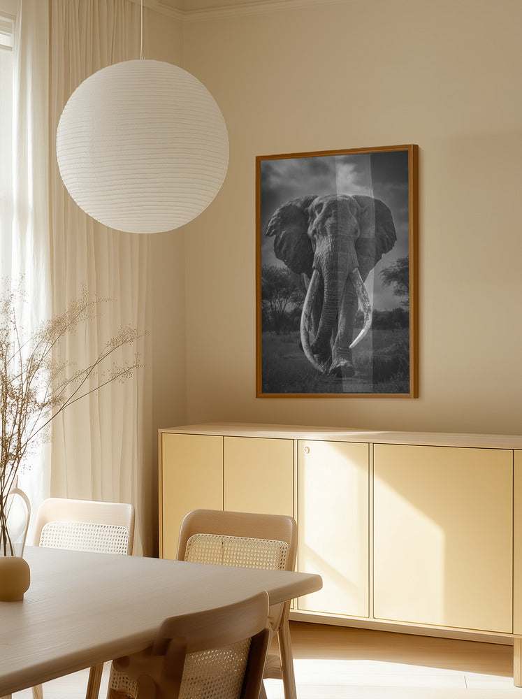 Majestic Tusker Black & White Metal Wall Art