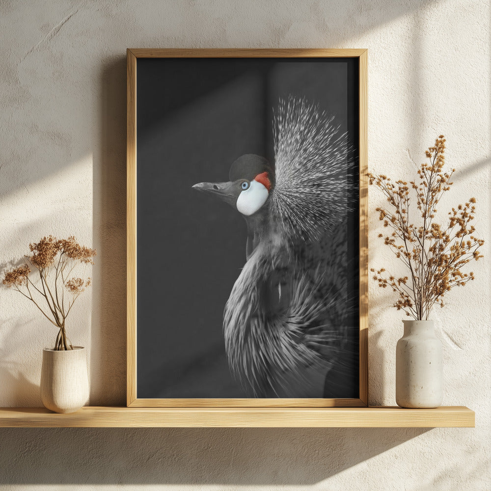 Midnight Crowned Crane Metal Wall Art