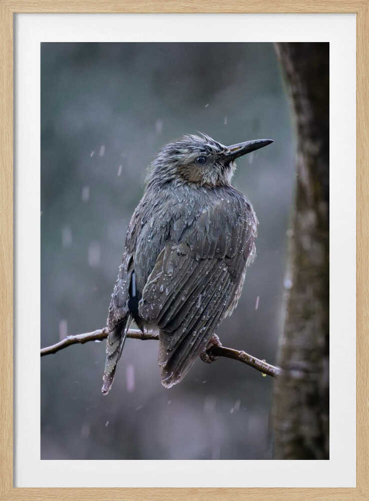 Rainlit Stillness – Floral Metal Wall Art