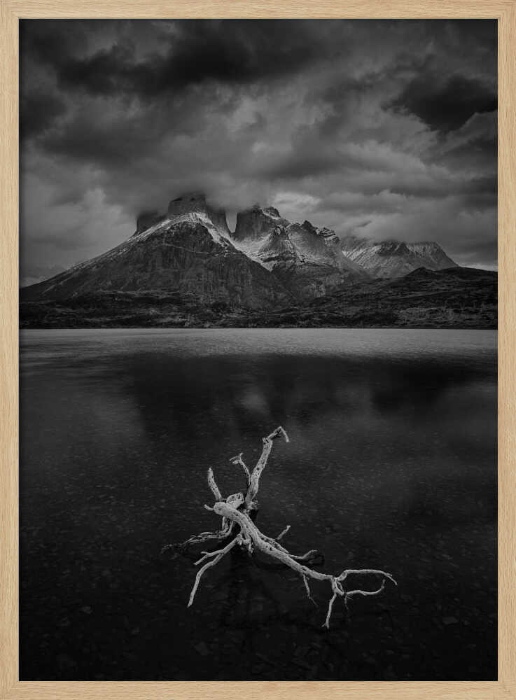 "Eternal Stillness" Metal Wall Art