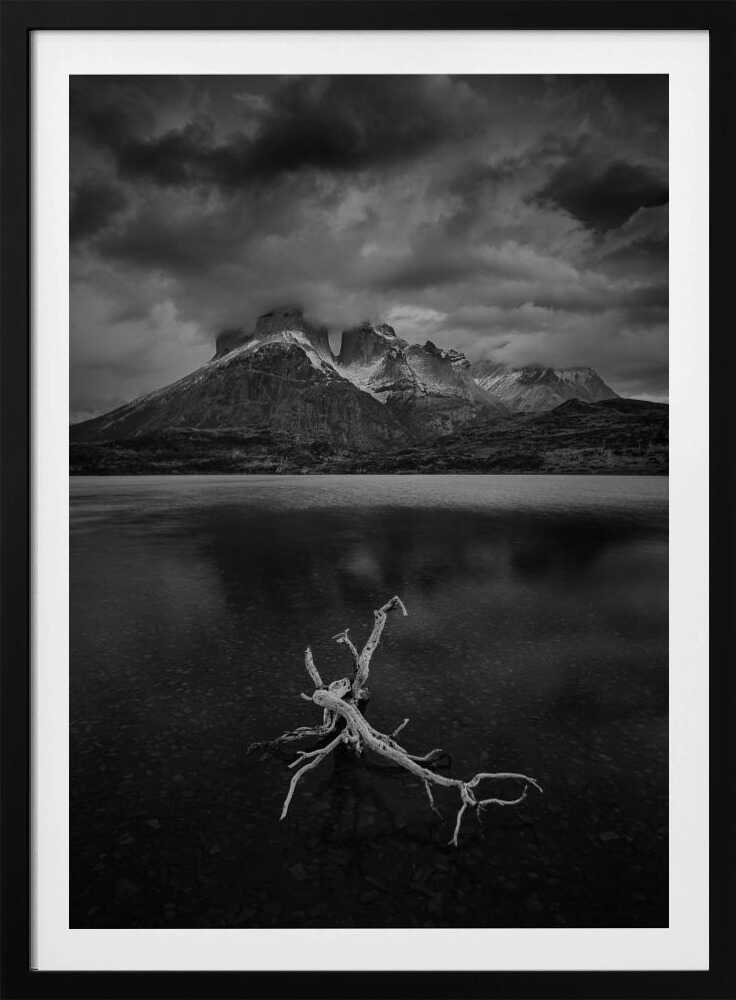 "Eternal Stillness" Metal Wall Art