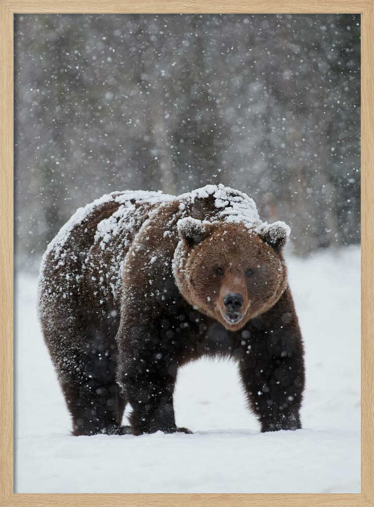 “Frozen Strength” Animal Metal Wall Art