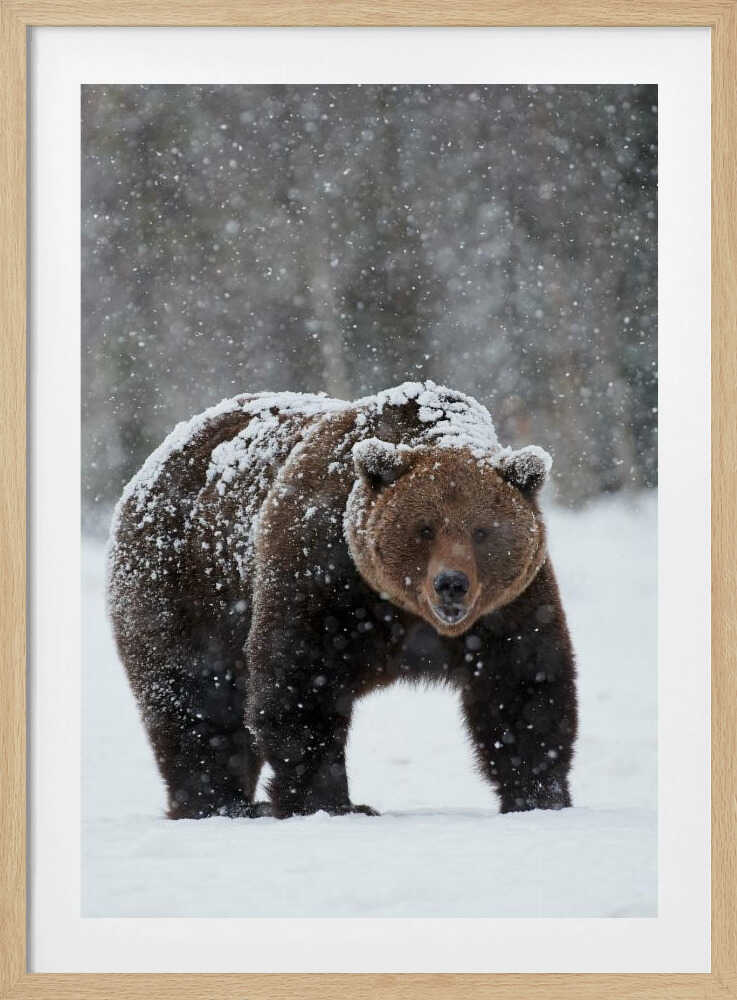 “Frozen Strength” Animal Metal Wall Art