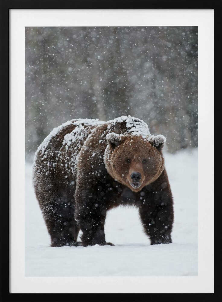 “Frozen Strength” Animal Metal Wall Art