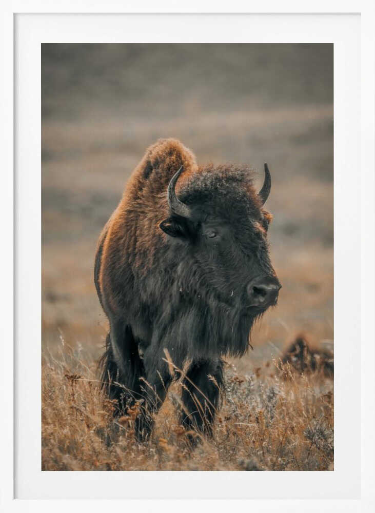 "Majestic Bison" Animal Metal Wall Art