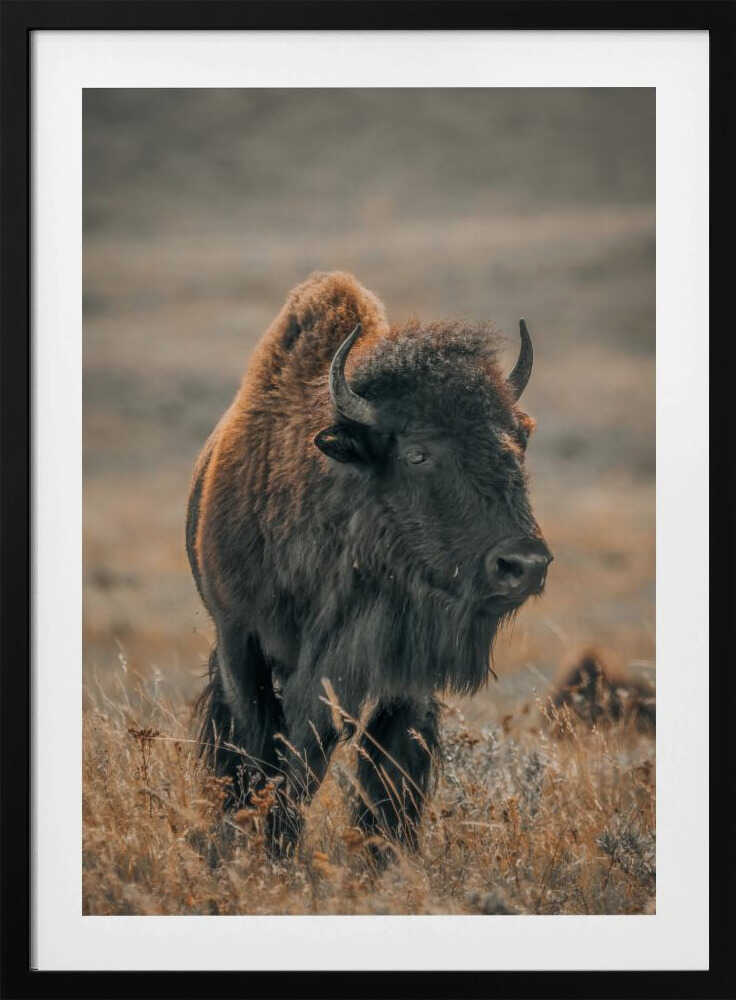 "Majestic Bison" Animal Metal Wall Art
