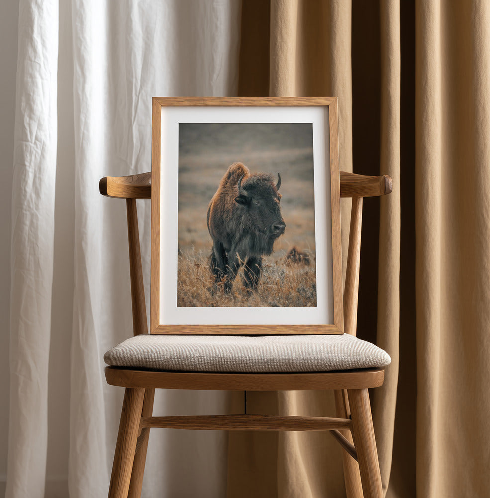 "Majestic Bison" Animal Metal Wall Art