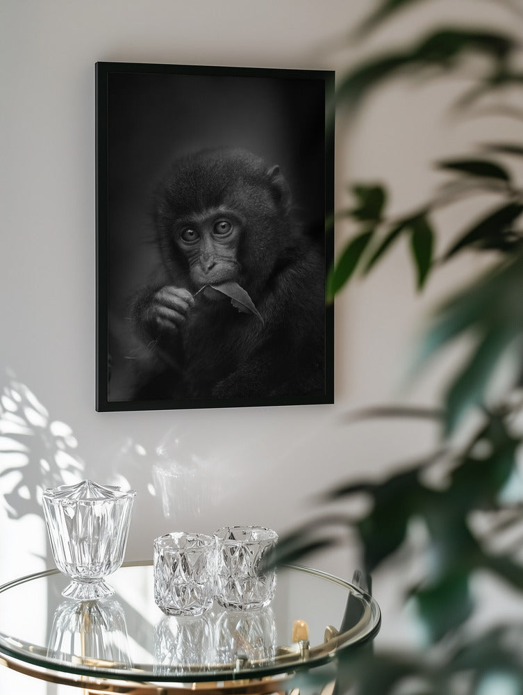 Curious Baby Monkey Metal Wall Art