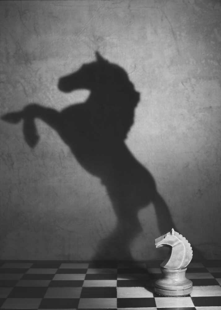 Knight’s Shadow Chess Black & White Metal Wall Art