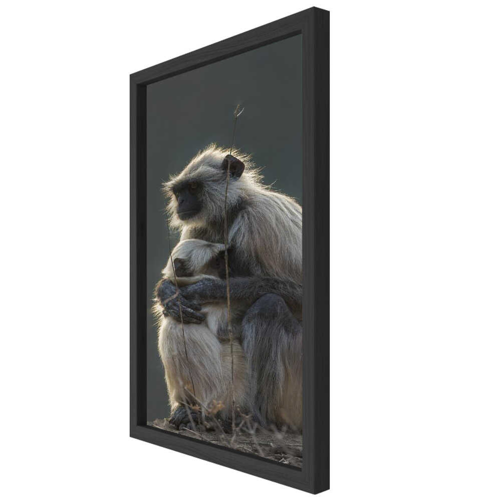 Silent Shelter – Monkey & Baby Animal Metal Wall Art