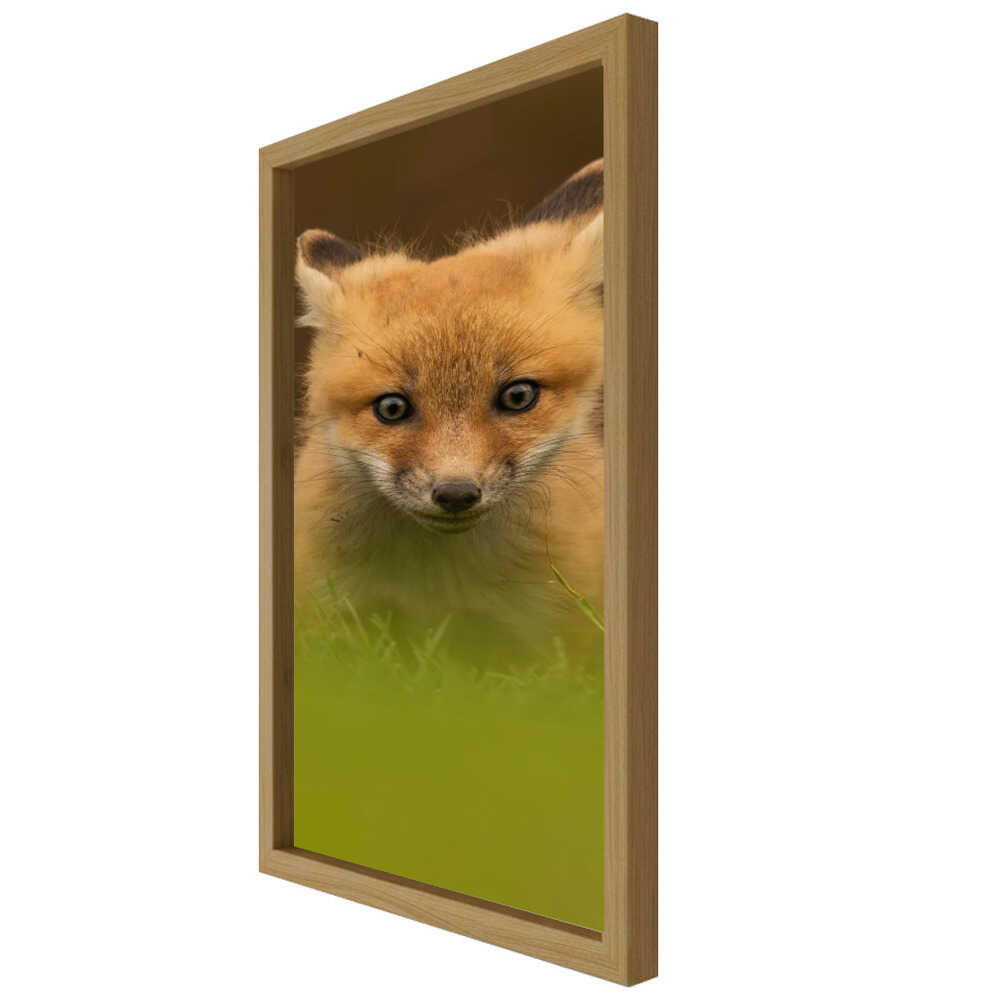 “Curious Forest Whisper” Animal Metal Wall Art