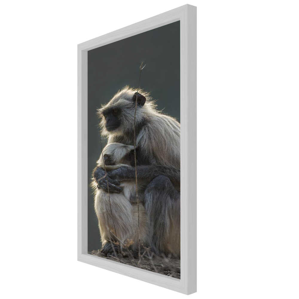 Silent Shelter – Monkey & Baby Animal Metal Wall Art