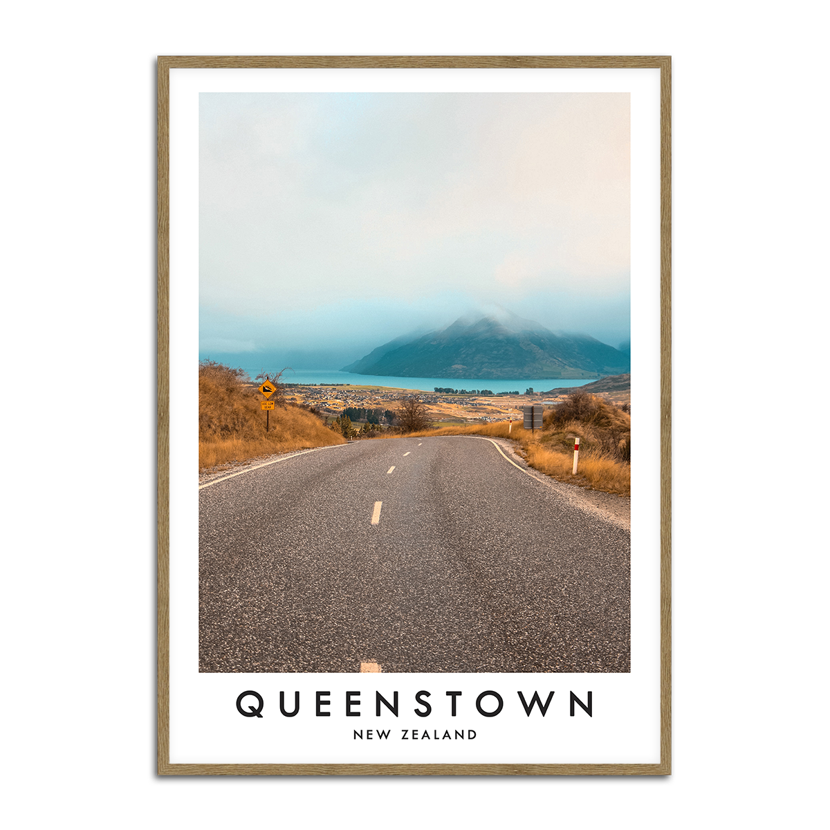 Queenstown New Zealand Metal Wall Art Print