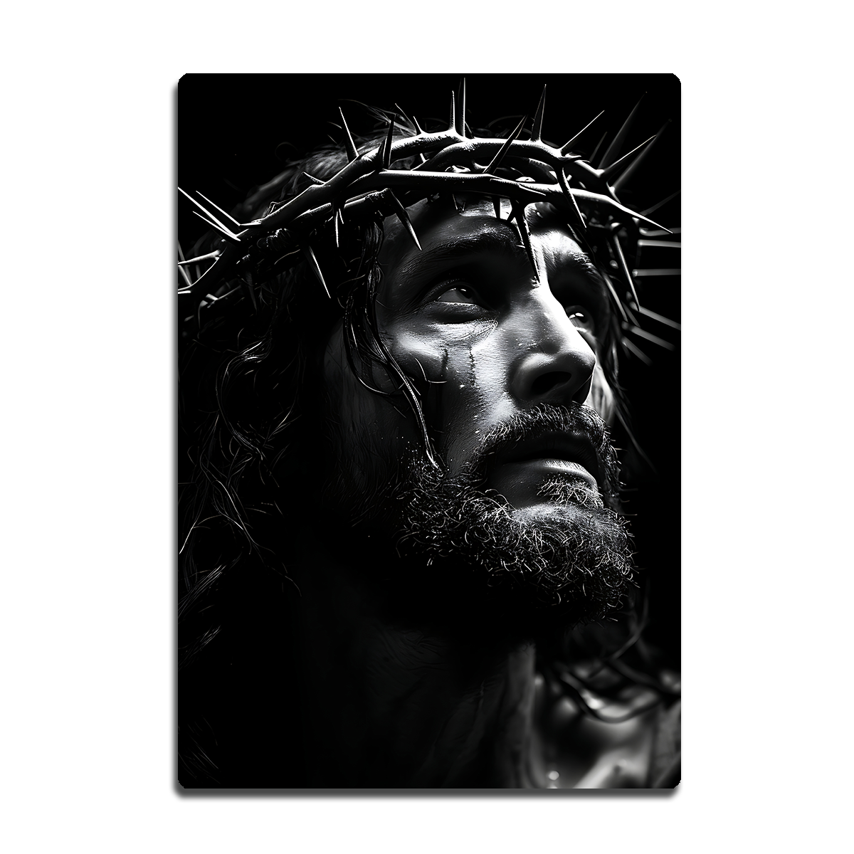 Crown of Thorns – The Suffering Savior HD Metal Wall Art