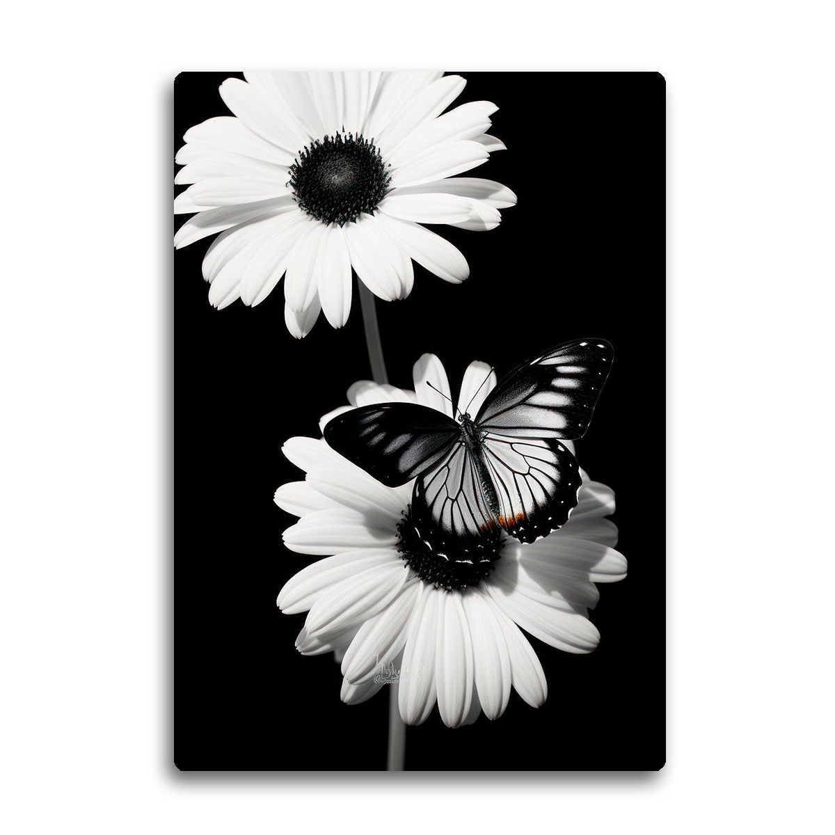 “Grace in Bloom” – Butterfly & Daisy Metal Wall Art