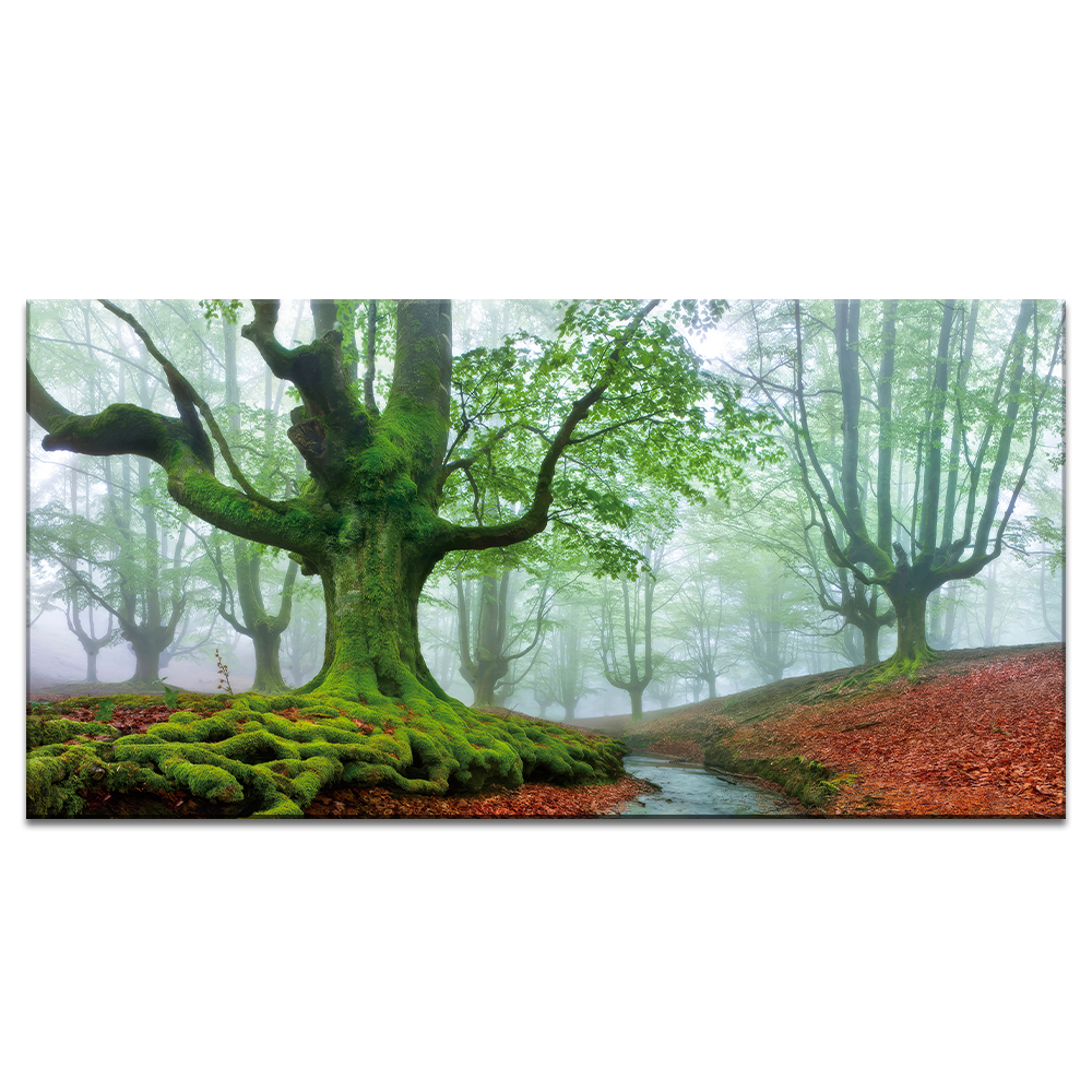Misty Forest - Acrylic Wall Art