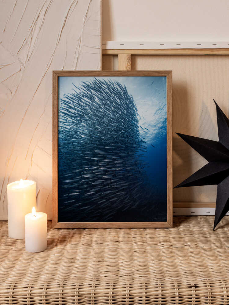 Ocean Pulse – School of Fish Metal Wall Art