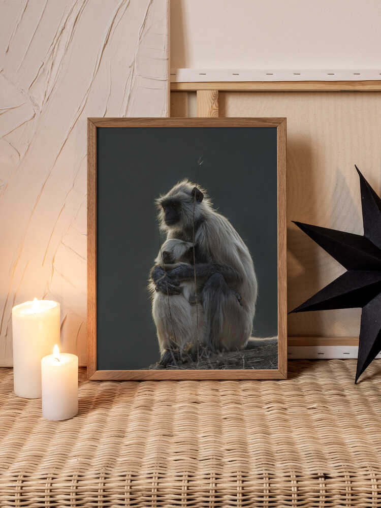 Silent Shelter – Monkey & Baby Animal Metal Wall Art