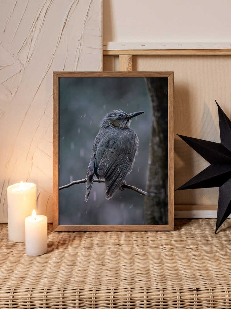 Rainlit Stillness – Floral Metal Wall Art