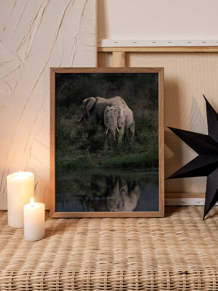 Enduring Strength – Elephant Metal Wall Art