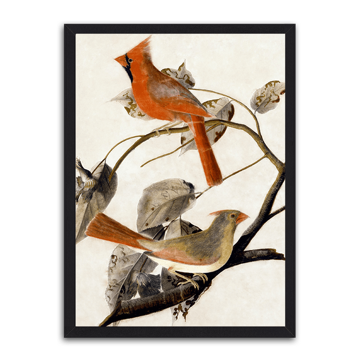 Feathered Ensemble - Bird Chorus - PixMagic