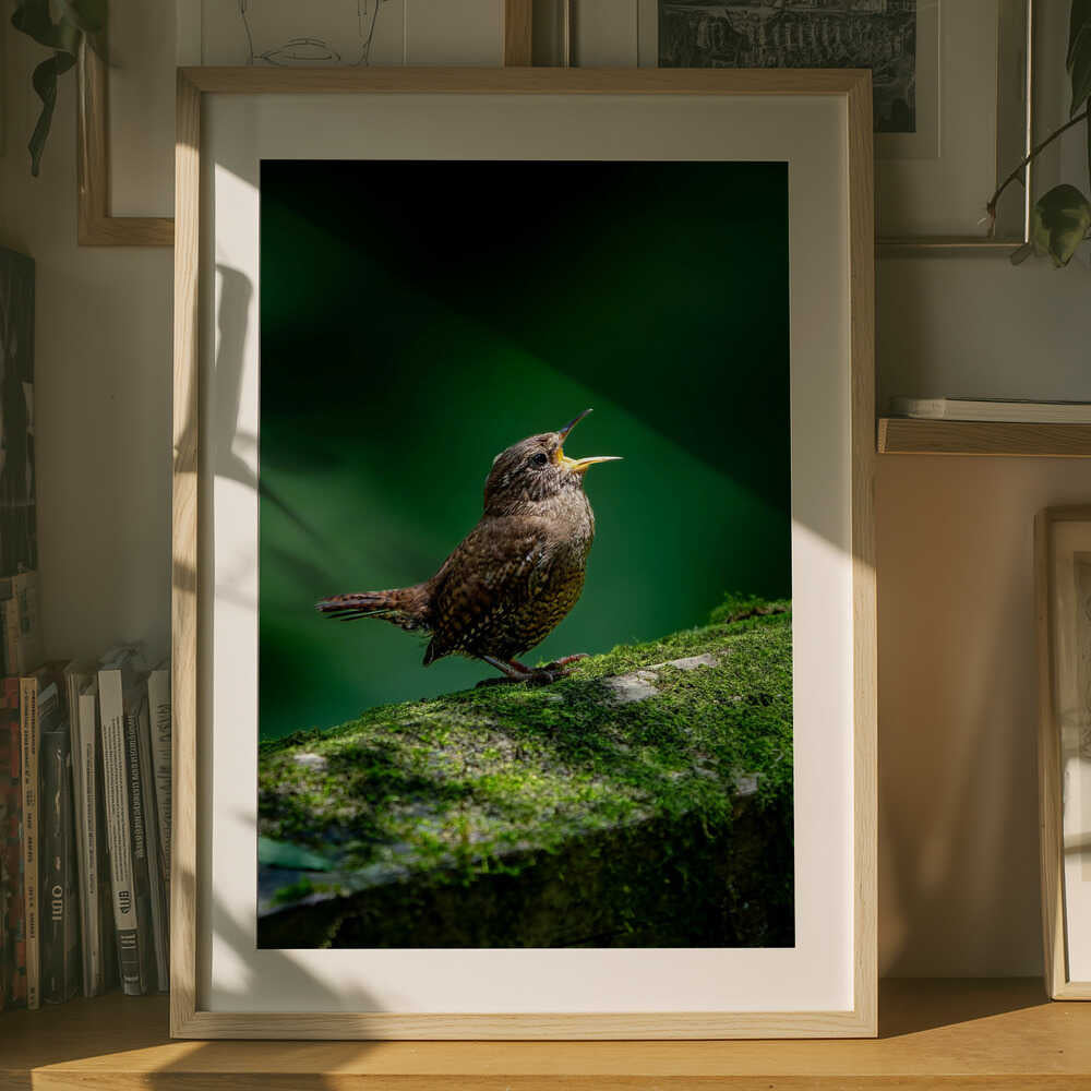 Song of Stillness – Wren Metal Wall Art