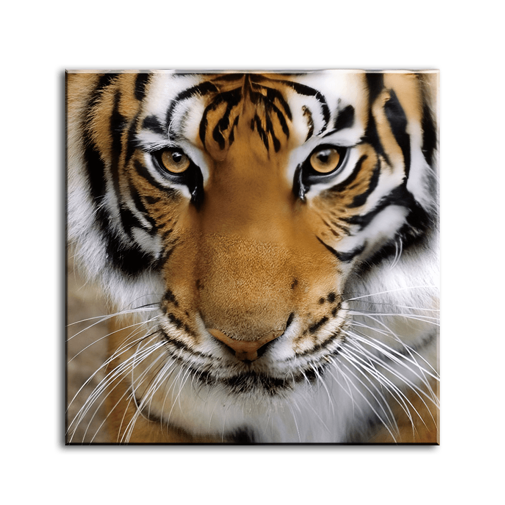 Majestic Tiger Gaze - PixMagic