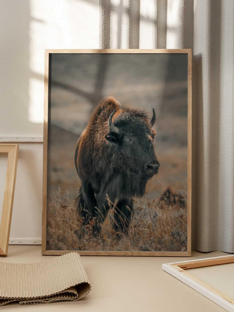 "Majestic Bison" Animal Metal Wall Art