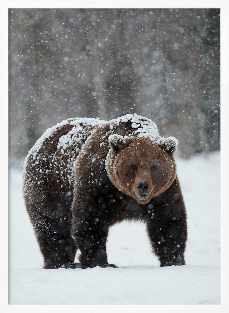 “Frozen Strength” Animal Metal Wall Art
