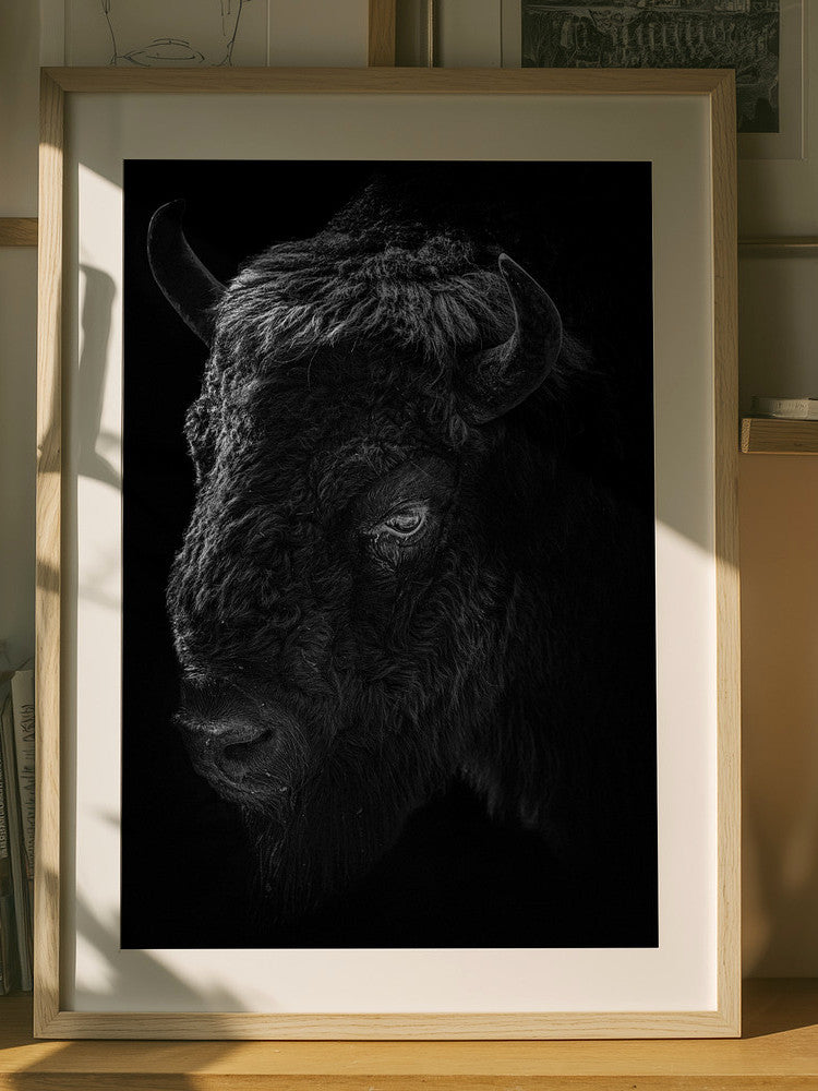 Midnight Bison Black and White Metal Wall Art