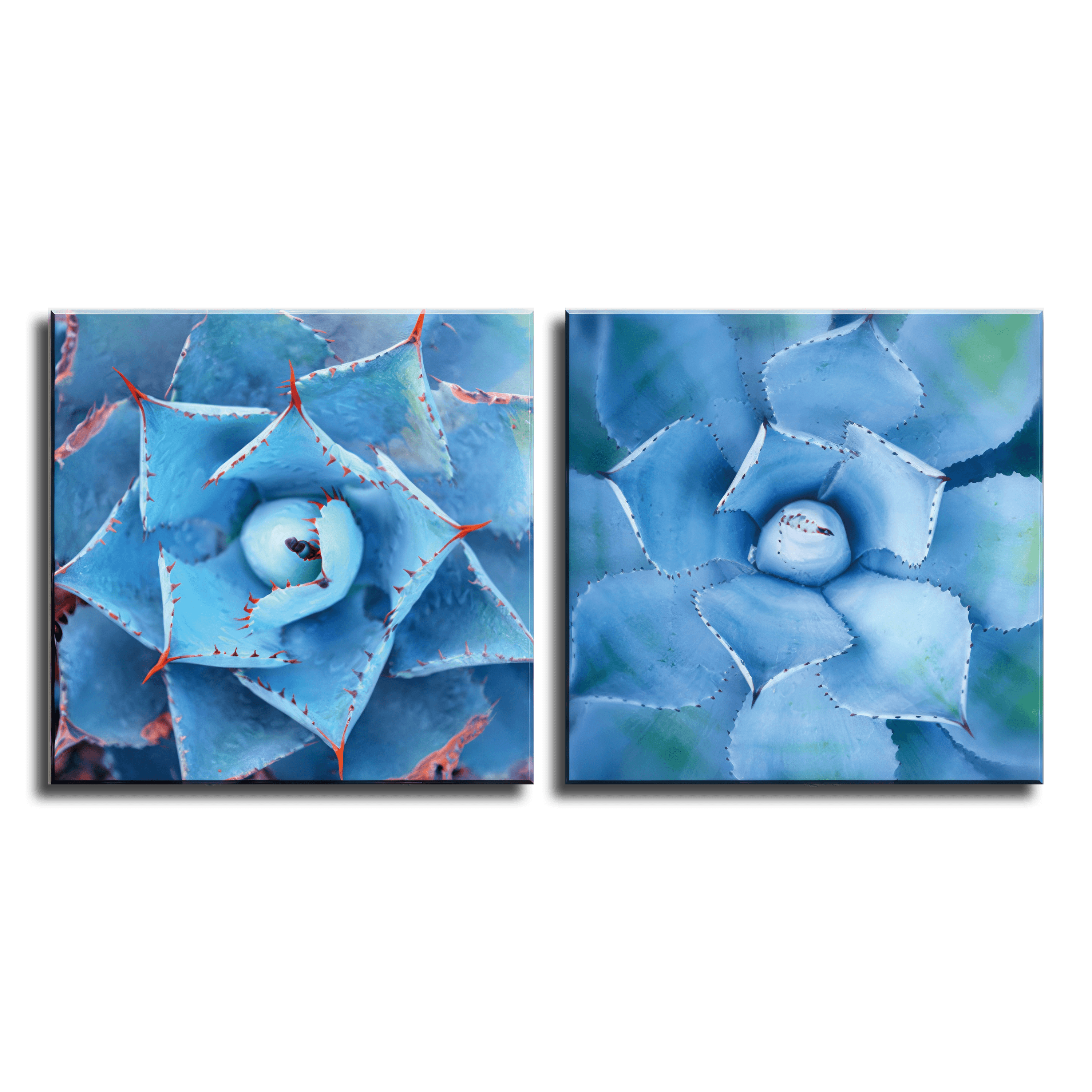 Sapphire Agave Whorls Duo- 2Panel.