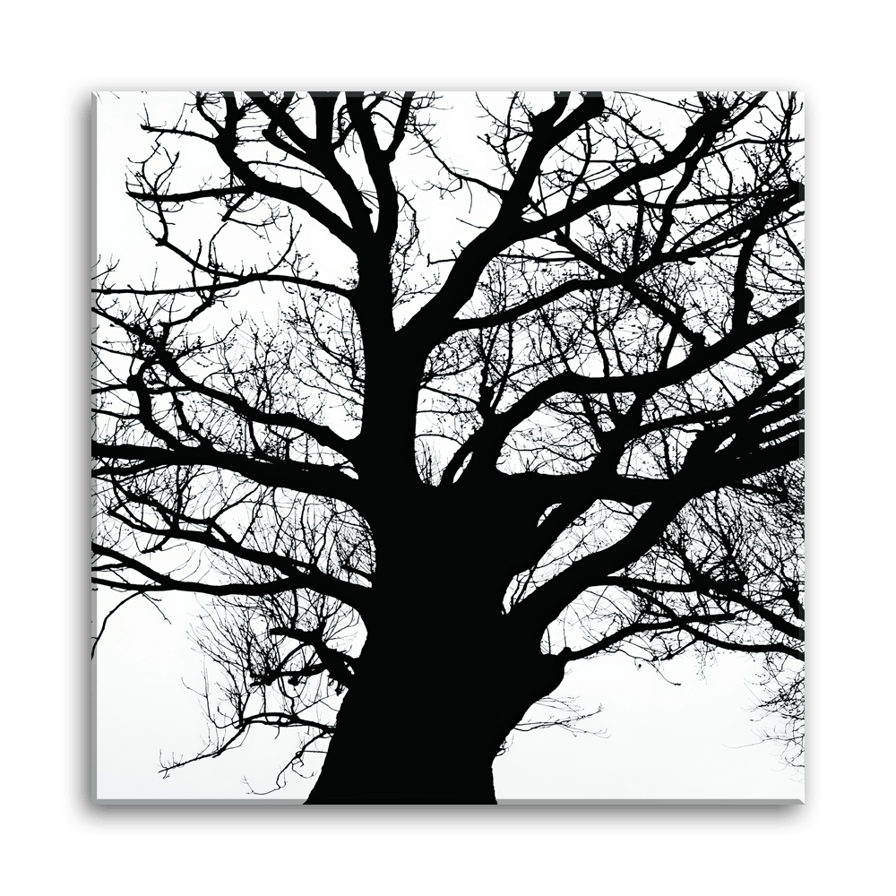 Silhouette Tree - PixMagic