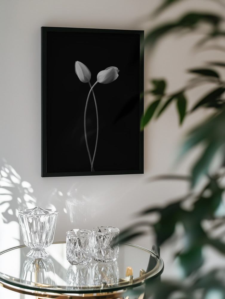 Elegant Twin Tulips Black and White Metal Wall Art