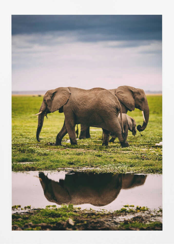 Elephant Family Journey Metal Wall Art