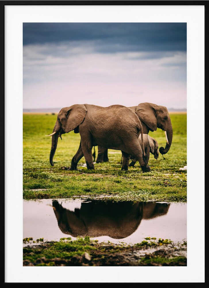 Elephant Family Journey Metal Wall Art