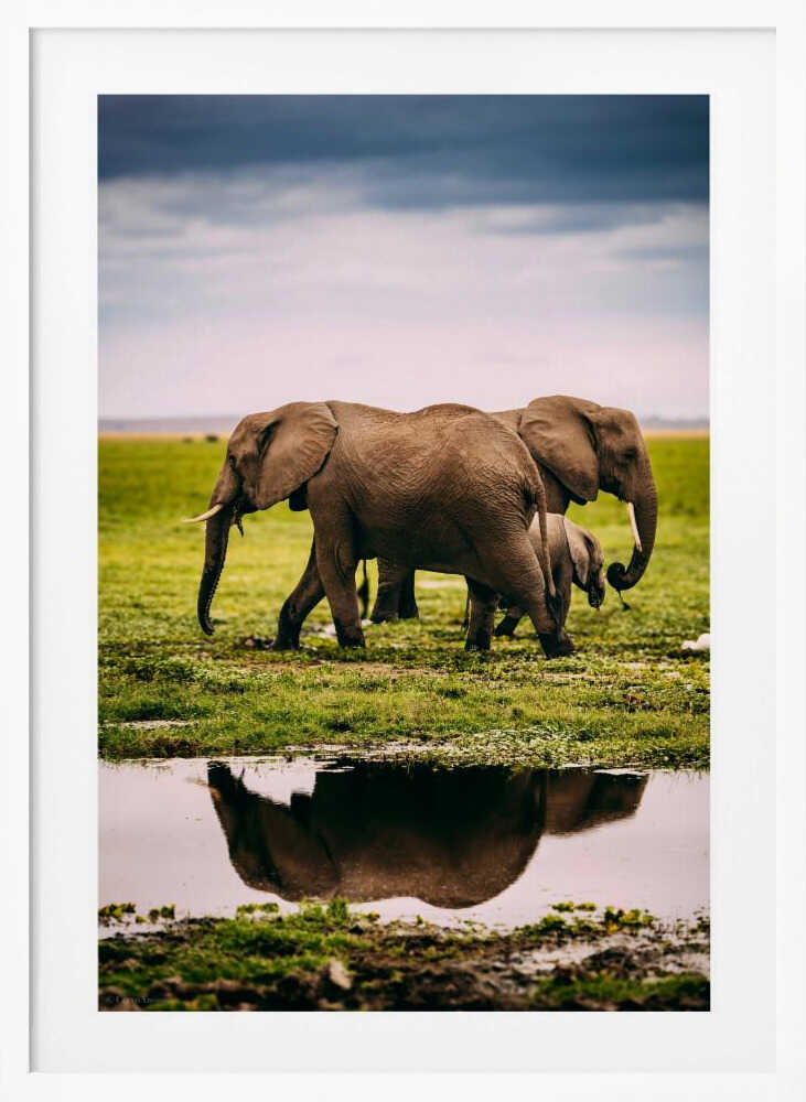 Elephant Family Journey Metal Wall Art