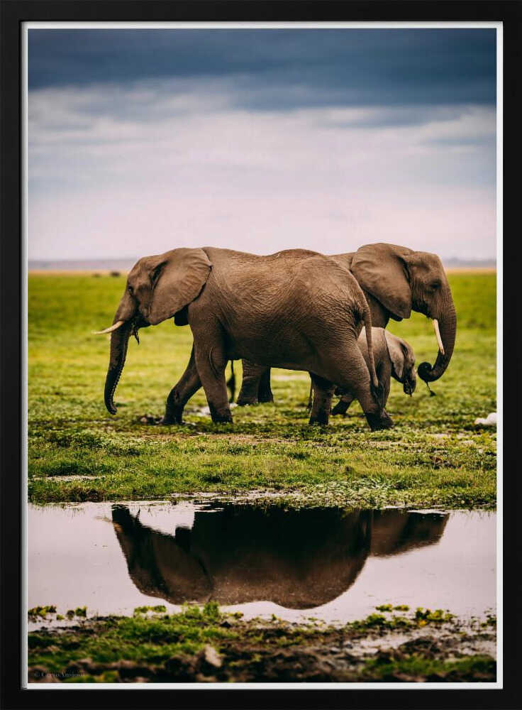 Elephant Family Journey Metal Wall Art
