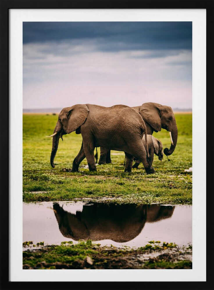 Elephant Family Journey Metal Wall Art