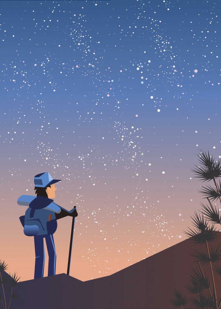 "Under the Stars" Nature-Inspired Wall Art