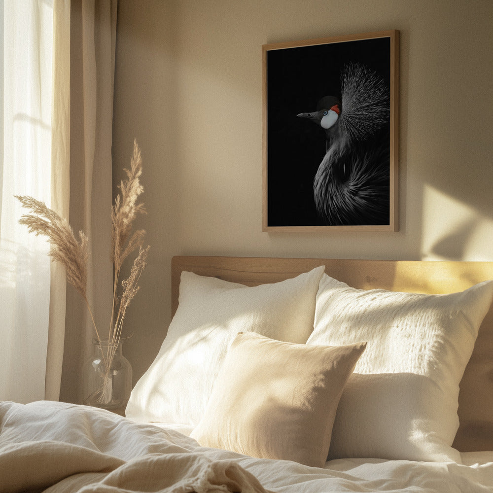 Midnight Crowned Crane Metal Wall Art