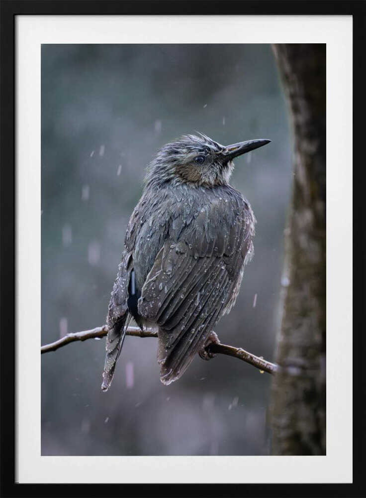 Rainlit Stillness – Floral Metal Wall Art