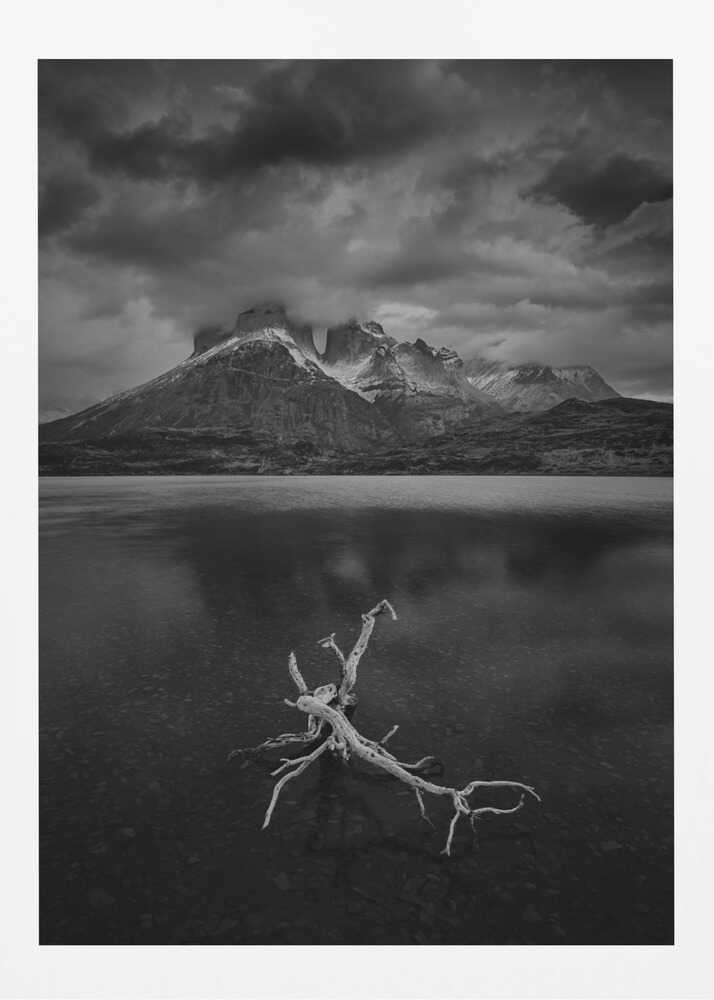 "Eternal Stillness" Metal Wall Art