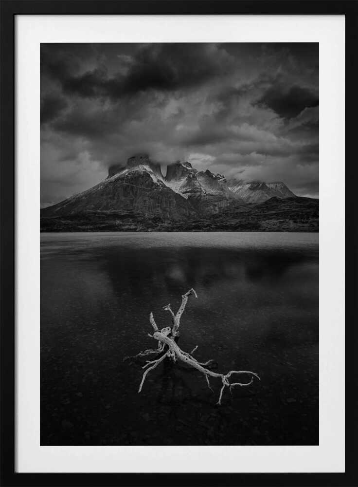 "Eternal Stillness" Metal Wall Art