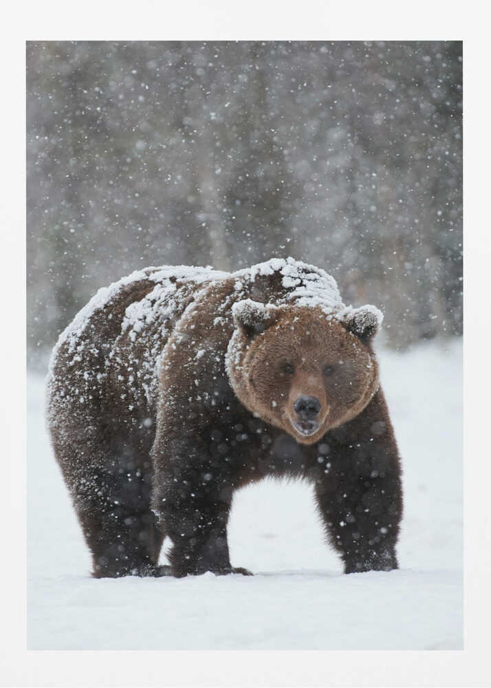 “Frozen Strength” Animal Metal Wall Art