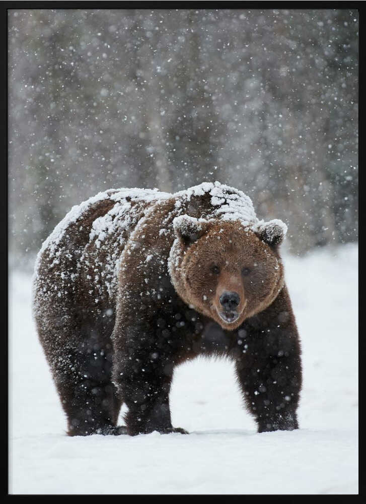 “Frozen Strength” Animal Metal Wall Art